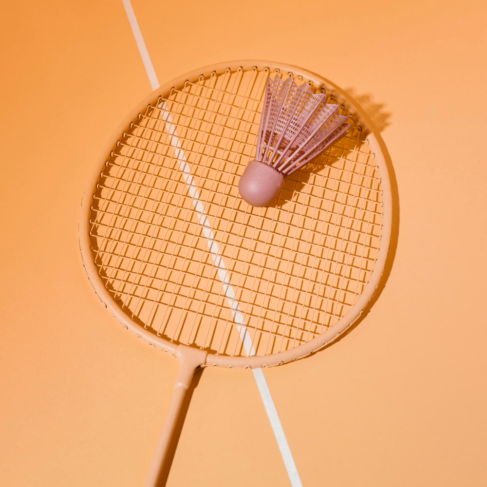 Badminton Locmaria Plouzane